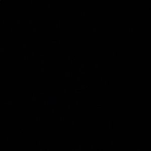 Meet your Posher, Jackson